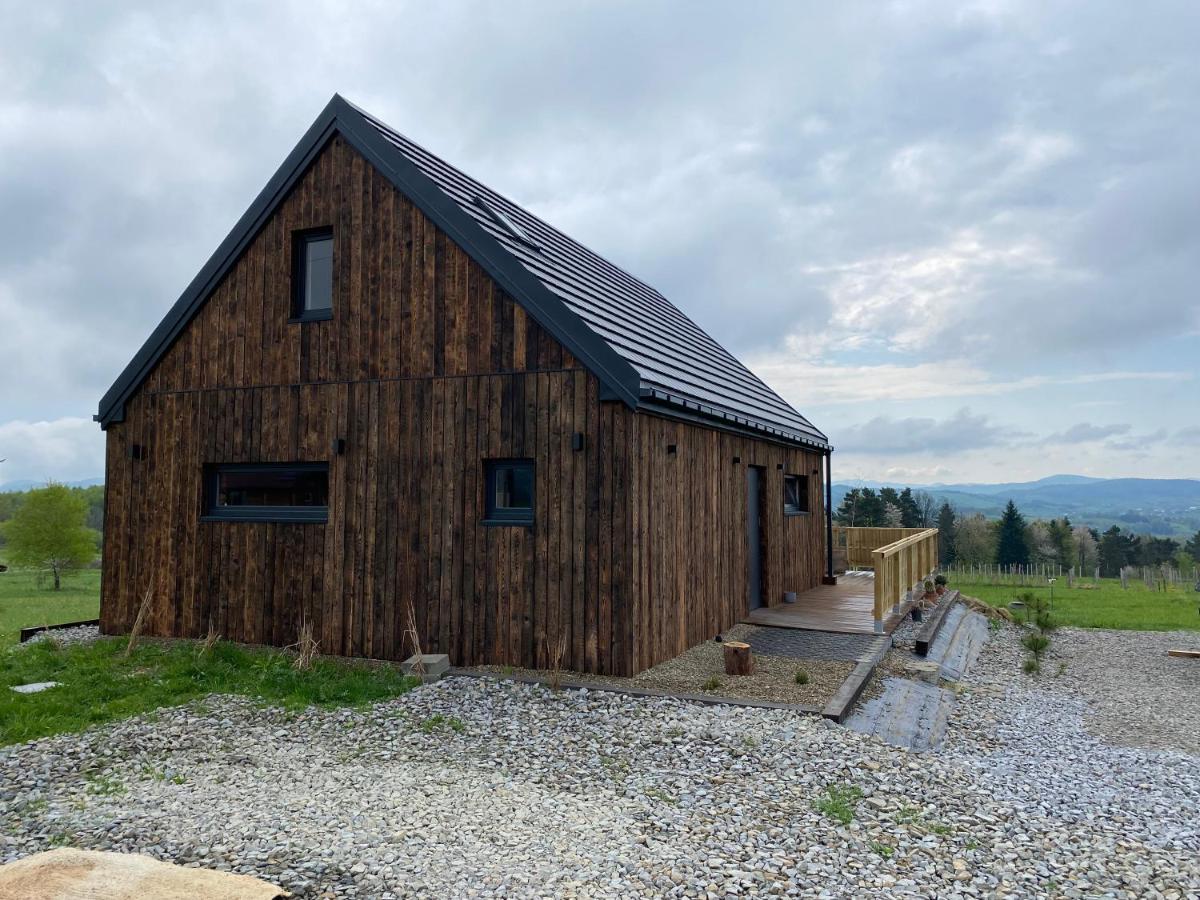Domek Przy Debrzy Villa Poraz Exterior foto